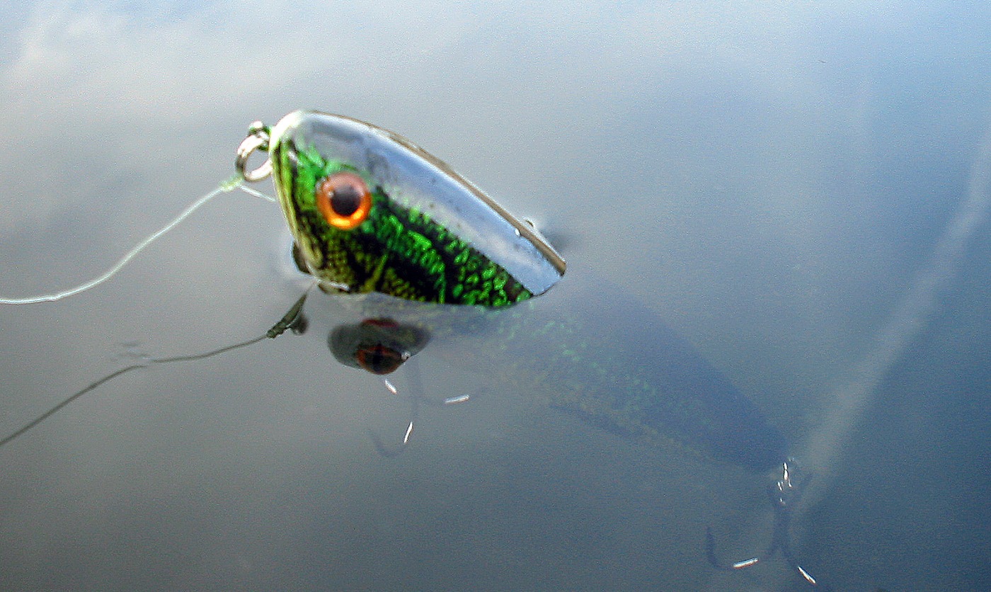 Elegir el color de señuelo adecuado para la pesca del black bass en verano